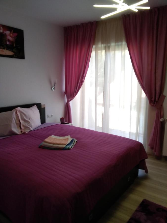 Vanessa * Brasov
