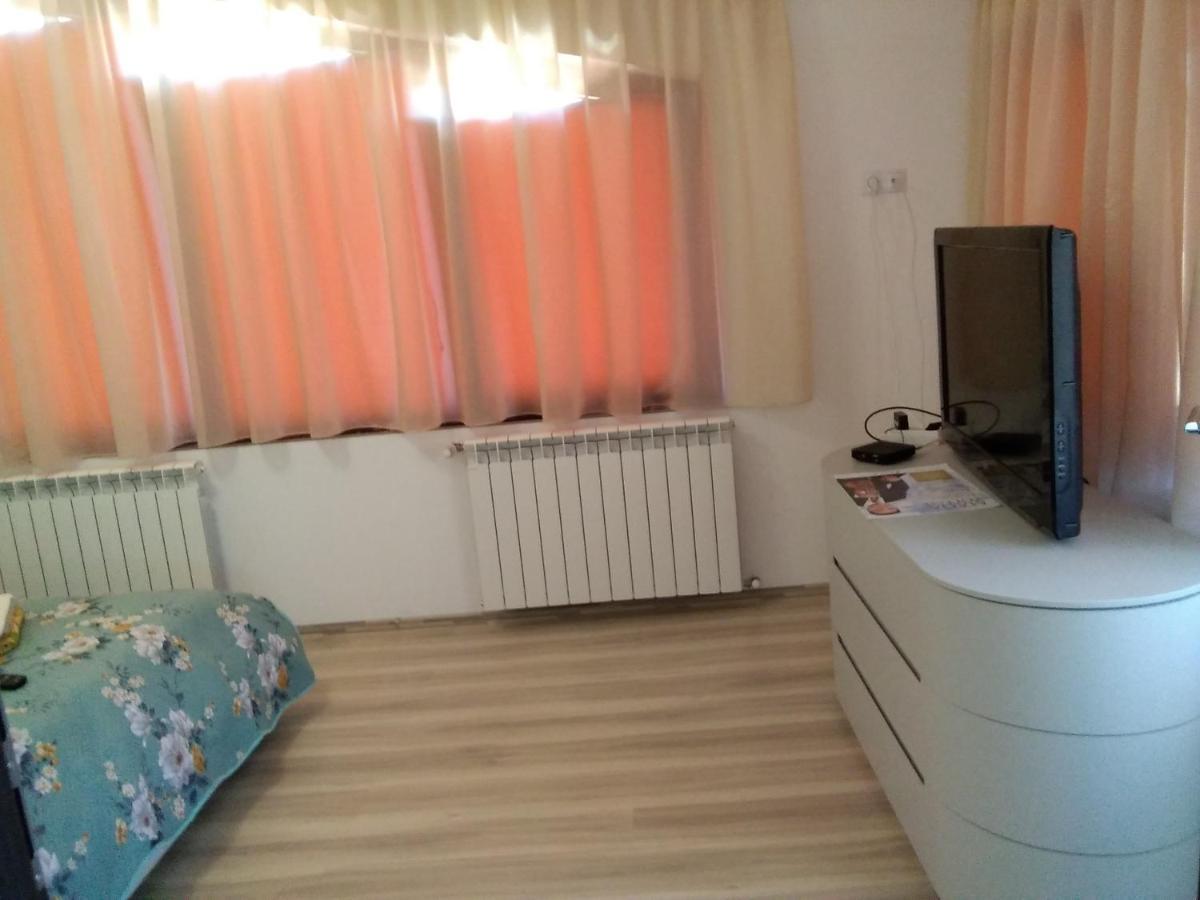 Vanessa * Brasov